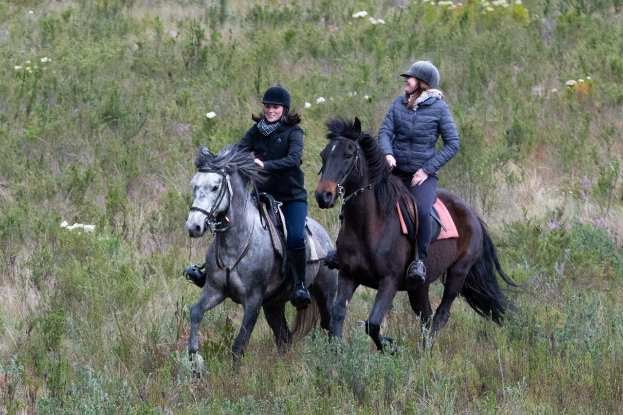 Вилла Oudebosch Guest Farm Риверсдейл Экстерьер фото